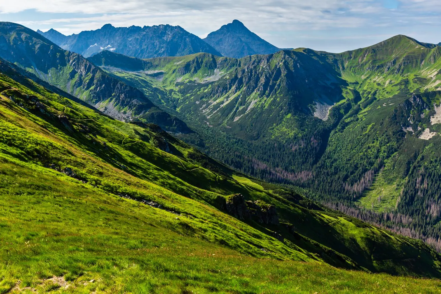 Jak przygotować się do wyprawy w Tatry - kompendium wiedzy